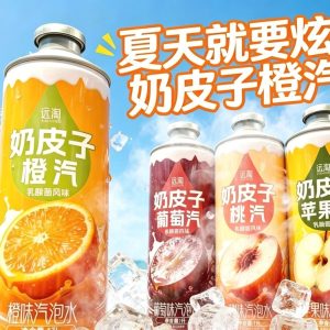 【远淘】奶皮子汽泡水 1L
