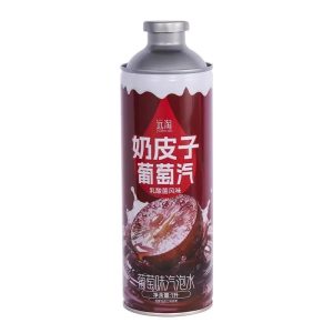 【远淘】奶皮子汽泡水 1L